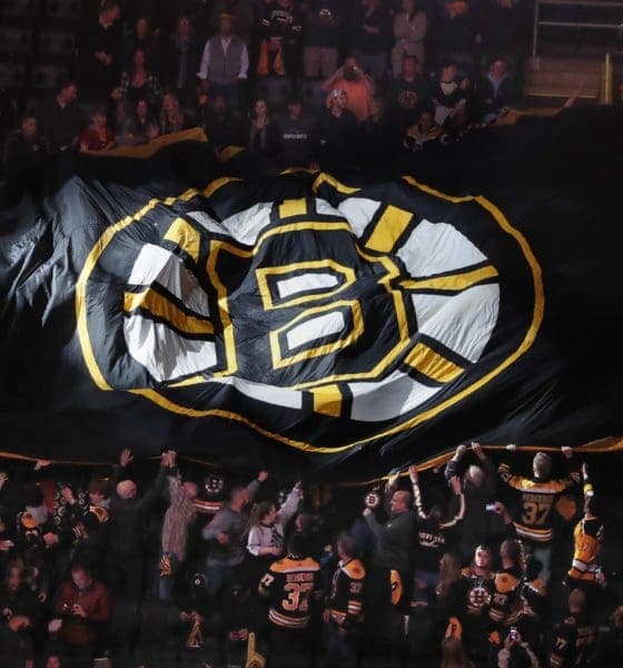 Bruins Suffer Loss as Defenseman is Reassigned and Fleury Eyes Return