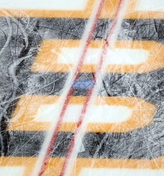 Bruins Selected for Olympics Amid Excitement for World Juniors and Winter Classic Tonight