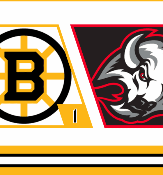 Bruins Struggle in Second Period, Suffer Fifth Consecutive Loss
