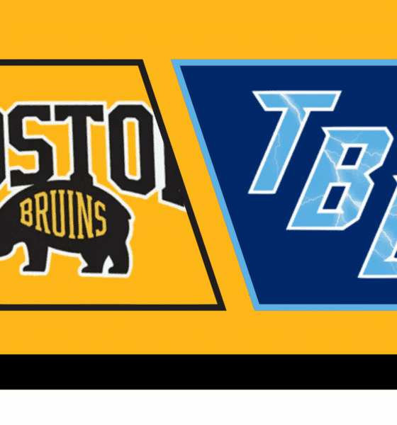 Bruins Face Lightning in Stadium Series as Playoff Hopes Intensify