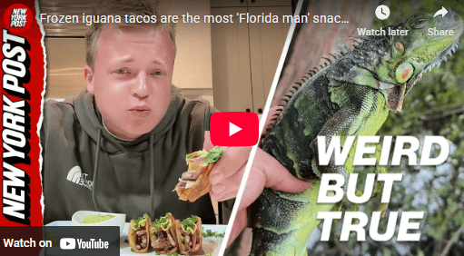 Florida's Unique Frozen Iguana Tacos Trend