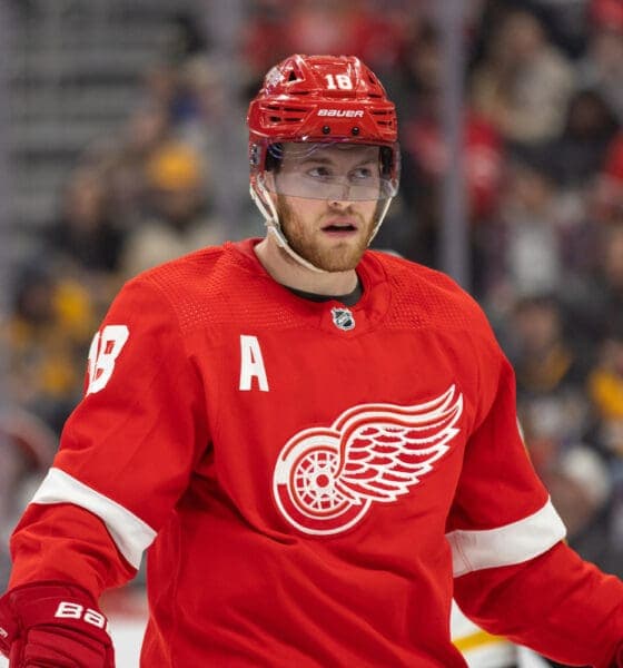 Red Wings Overcome Third Period Collapse to Secure OT Win Against Hurricanes