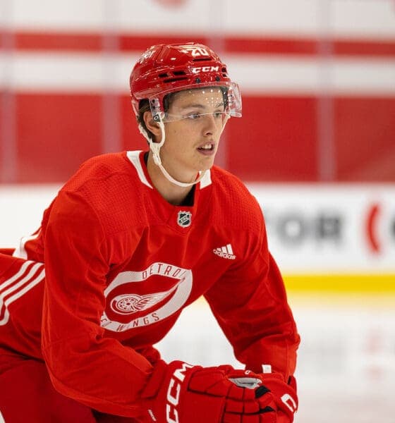 Anton Johansson's Dad Fired as GM, Buchelnikov Returns to Leksands