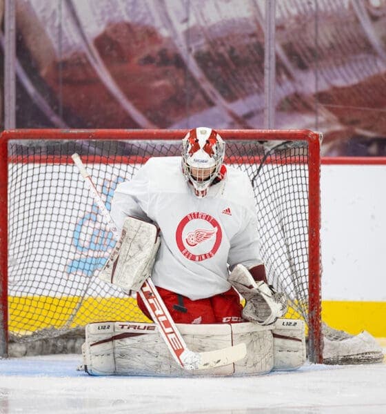 Top CHL Teams Shine with Red Wings Draftees Amid NHL Trade Buzz