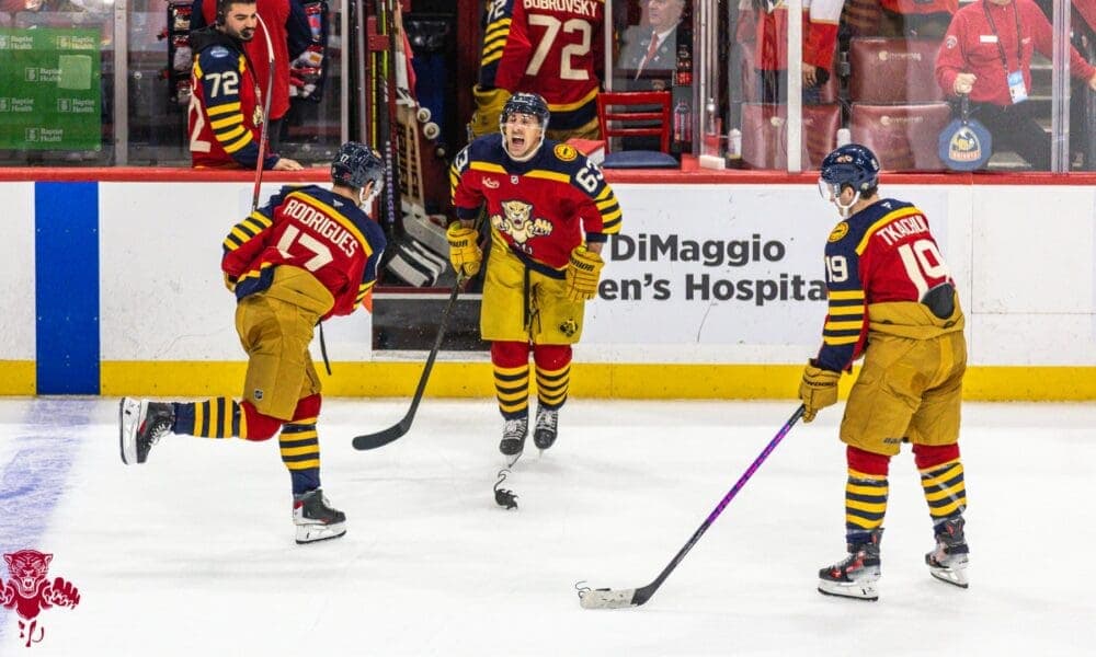 Florida Panthers Triumph in Dramatic Game, Elevating Playoff Hopes