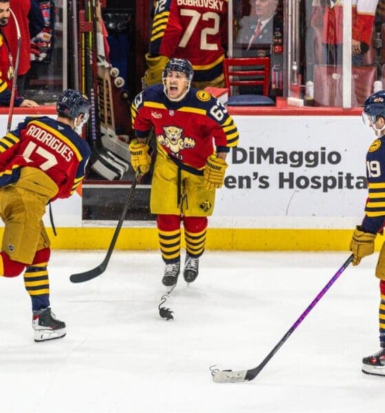 Florida Panthers Triumph in Dramatic Game, Elevating Playoff Hopes