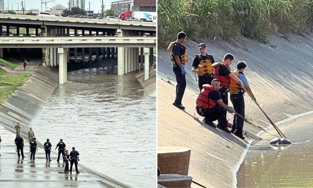 Texans on Edge as Nearly 70 Corpses Found in Houston Bayous