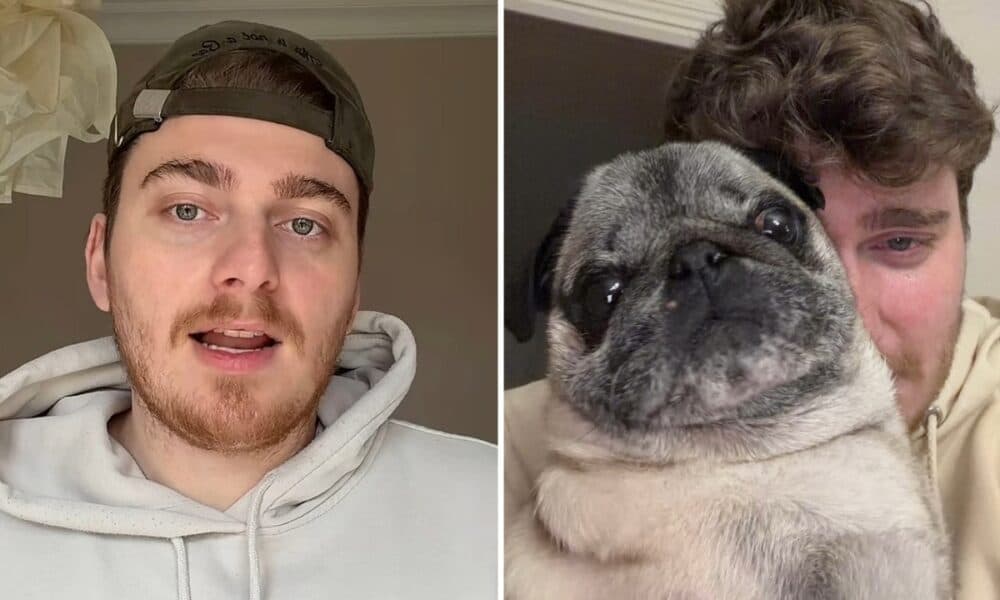 TikTok Star Faces Backlash for Faking Dog's Kidnapping for Views