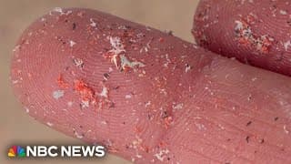 Microplastics Detected in Human Brain Tissue Raise Health Concerns