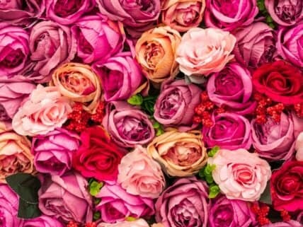 Discover 6 Surprising Facts About Valentine's Day You Never Knew