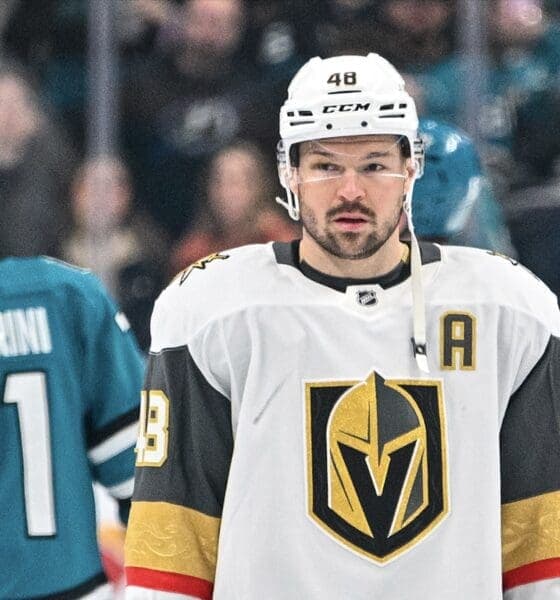 Hertl Celebrates Celebrini's Success as Sharks Thrive Against Knights