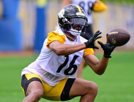 Former Steelers Receiver Joins NFC Coaching Staff, Aims for Impact
