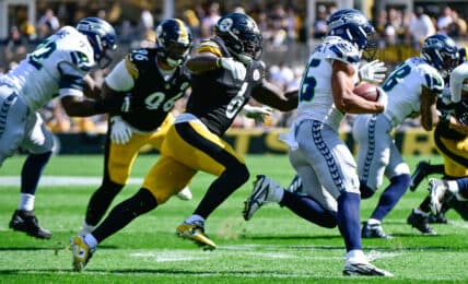 Former Steelers Call for Team to Release Veteran Defender Amid Concerns