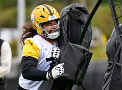 Steelers Veteran Expected to Join AFC Rival in Upcoming Free Agency