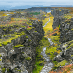 Scientists Warn of Triple Extinction Event Threatening Earth's Biodiversity