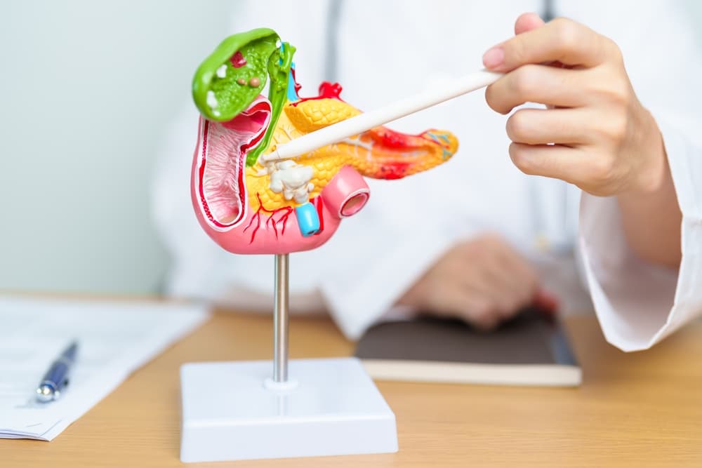 Spanish Lab's Breakthrough Erases Pancreatic Tumors in Mice, Raising Hope