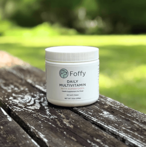 Are Dog Multivitamins Essential for Your Pet's Health and Wellbeing?