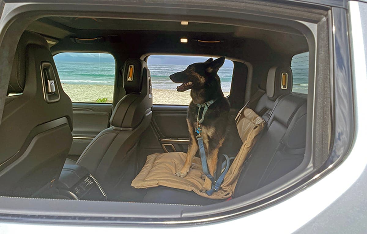 Discover the Top 9 Cars for Traveling with Dogs and Pampering Your Pets