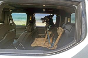 Discover the Top 9 Cars for Traveling with Dogs and Pampering Your Pets