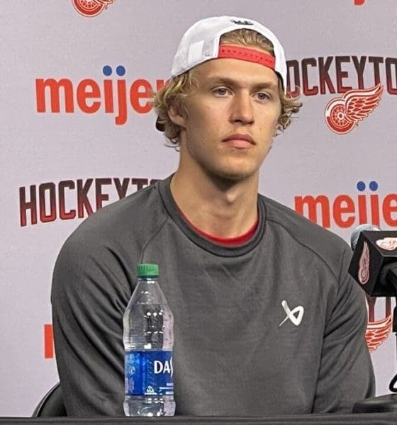 Simon Edvinsson Returns to Red Wings, Boosting Griffins' Playoff Hopes