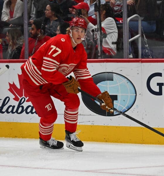 Edvinsson Returns to Red Wings Lineup, Boosting Playoff Hopes