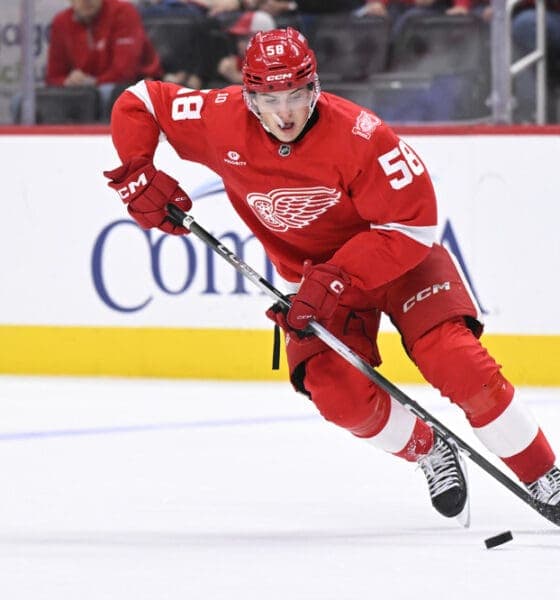 Red Wings Struggle for Goals as Playoff Hopes Dwindle Amid Tough Losses