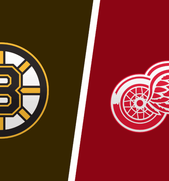 Red Wings Face Bruins in Key Matchup: What to Watch and Expect
