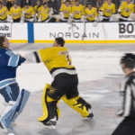 Red Wings Close Gap on Lightning Amid Goalie Fight Drama and More