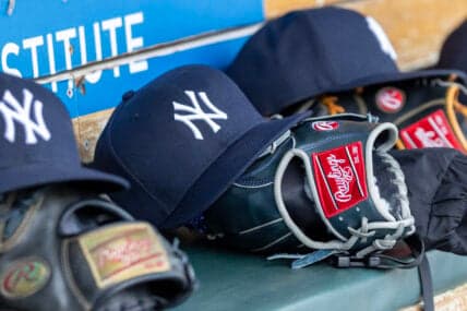 Carlos Lagrange and Elmer Rodriguez Set to Boost Yankees This Season