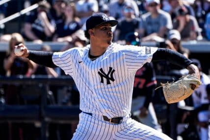 Yankees Prospects Shine Bright on Statcast, Shaping Future Expectations