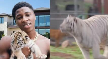 NBA YoungBoy's White Tiger Controversy Sparks Outrage and Criticism