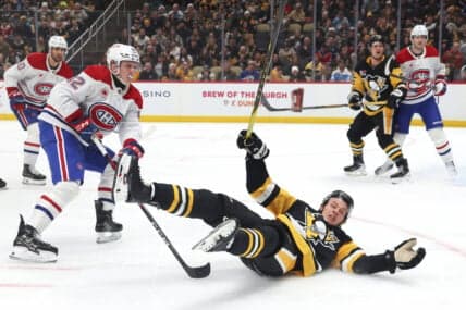 Penguins' Season Frustrations Highlight Future Challenges Ahead