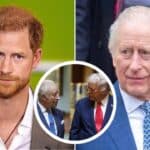Prince Harry's Remarks on Trump Leave King Charles Facing Tough Decisions
