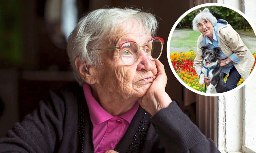 Ways to Combat Loneliness: Volunteering and Adopting Animals Matter