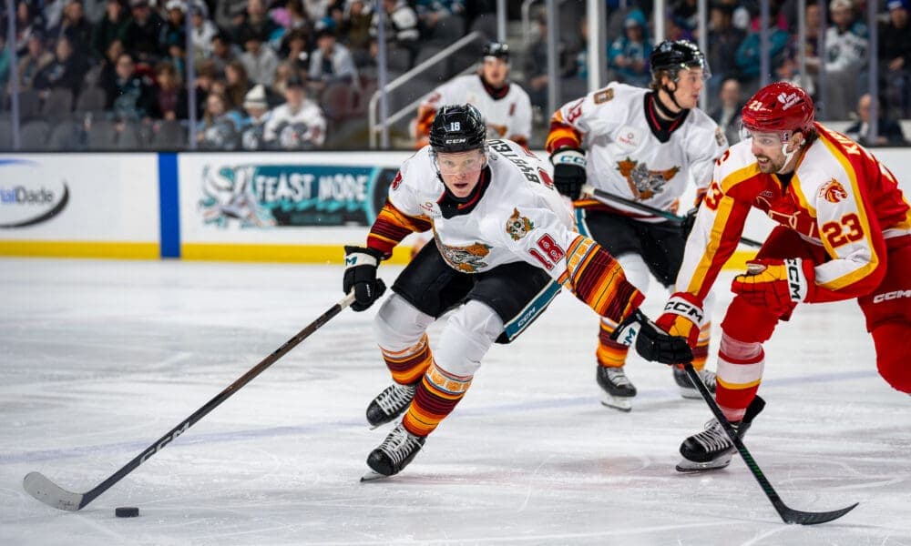 NHL Scouts Weigh In on Filip Bystedt's Breakout Season and Future Potential