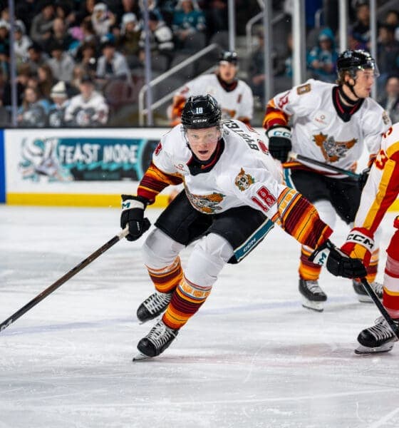 NHL Scouts Weigh In on Filip Bystedt's Breakout Season and Future Potential