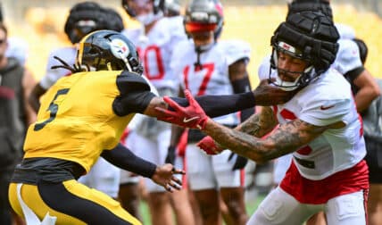 Six-Time Pro Bowl WR Set to Enter Free Agency, Steelers Fans on Alert