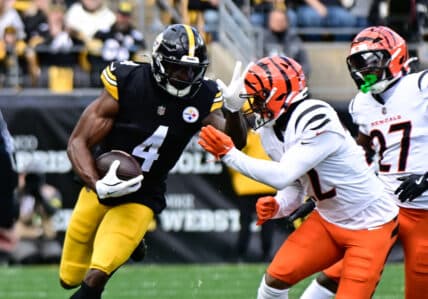 Lions Fan Denies Using Slurs in Altercation with DK Metcalf, Sparks Debate