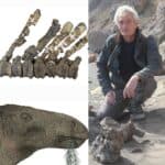 Scientists Discover UK's Most Complete Dinosaur Fossil in Over a Century
