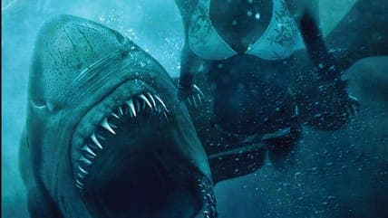 Tommy Wirkola's New Shark Thriller Set to Make Waves on Netflix